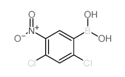 2,4-二氯-5-硝基苯硼酸