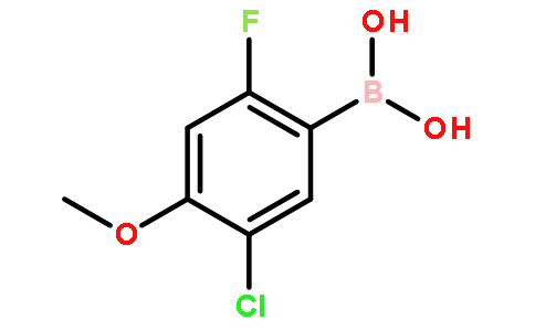 5-氯-2-氟-4-甲氧基苯硼酸