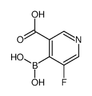 3-羧基-5-氟吡啶-4-硼酸