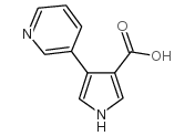 4-PYRIDIN-3-YL-1H-PYRROLE-3-CARBOXYLIC ACID