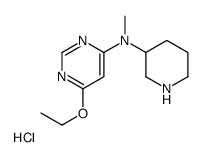 6-Ethoxy-N-methyl-N-(piperidin-3-yl)pyrimidin-4-amine hydrochloride