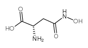 L-天冬氨酰-β-异羟肟酸