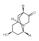 内-六氢-8-羟基-2,6-亚甲基-2H-喹嗪-3(4H)-酮