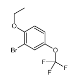 2-bromo-1-ethoxy-4-(trifluoromethoxy)benzene