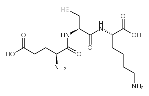 L--谷氨酰-L-半胱氨酰-L-赖氨酸