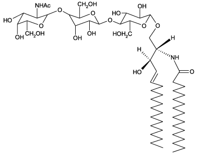 神经节苷酯GM&ltsub&gt2</sub>