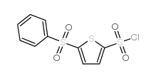 5-苯基噻酚-2,5-二磺酰氯