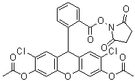DCDHFDA, SE  [2',7'-Dichlorodihydrofluorescein diacetate, succinimidyl ester]