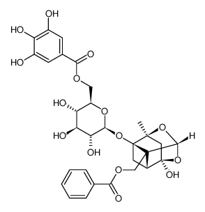 6'-O-Galloyl paeoniflorin