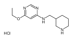 6-Ethoxy-N-(piperidin-3-ylmethyl)pyrimidin-4-amine hydrochloride