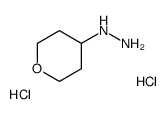 四氢吡喃-4-肼二盐酸盐