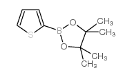 2-噻吩硼酸频哪醇酯