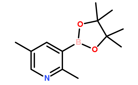 2,5-二甲基-3-(4,4,5,5-四甲基-1,3,2-二噁硼烷-2-基)吡啶