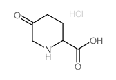 5-oxopiperidine-2-carboxylic acid,hydrochloride