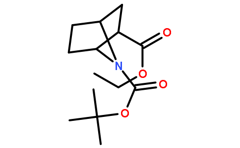 (1S,2s,4r)-7-叔丁基2-乙基7-氮杂双环[2.2.1]庚烷-2,7-二羧酸