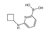 [6-(cyclobutylamino)pyridin-2-yl]boronic acid