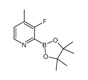 3-fluoro-4-methyl-2-(4,4,5,5-tetramethyl-1,3,2-dioxaborolan-2-yl)pyridine