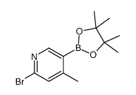 2-bromo-4-methyl-5-(4,4,5,5-tetramethyl-1,3,2-dioxaborolan-2-yl)pyridine
