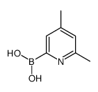 (4,6-dimethylpyridin-2-yl)boronic acid