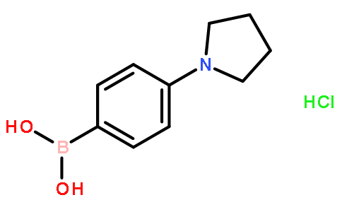4-(N-四氢吡咯基)苯硼酸盐酸盐
