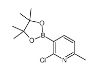 2-chloro-6-methyl-3-(4,4,5,5-tetramethyl-1,3,2-dioxaborolan-2-yl)pyridine
