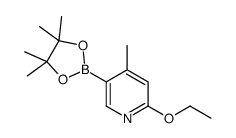 2-ethoxy-4-methyl-5-(4,4,5,5-tetramethyl-1,3,2-dioxaborolan-2-yl)pyridine