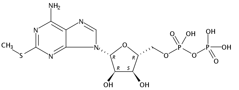 2-甲基硫代二磷酸腺苷