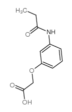 CHEMBRDG-BB 9031620