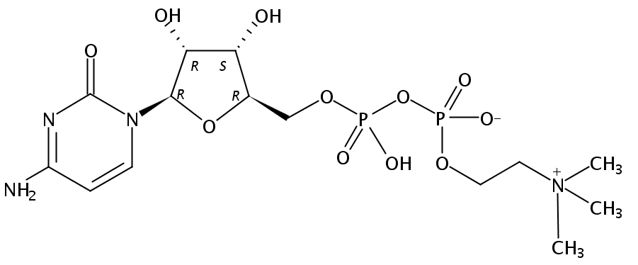 胞二磷胆碱