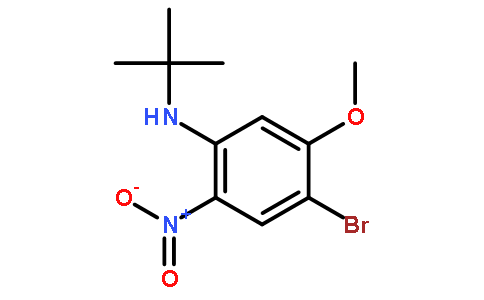 4-溴-N-叔丁基-5-甲氧基-2-硝基苯胺