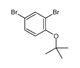 2,4-二溴-1-叔丁氧基苯