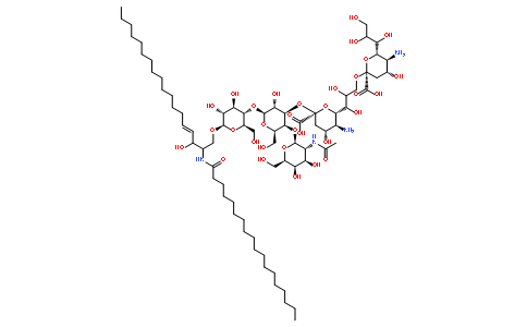 双唾液酸神经节苷脂 GD2