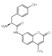 L-酪氨酸-7-胺基-4-甲基香豆素