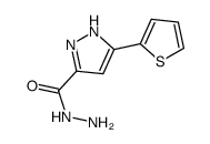 3-(噻吩-2-基)-1H-吡唑-5-甲酰肼