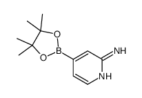 2-氨基吡啶-4-硼酸频哪醇酯