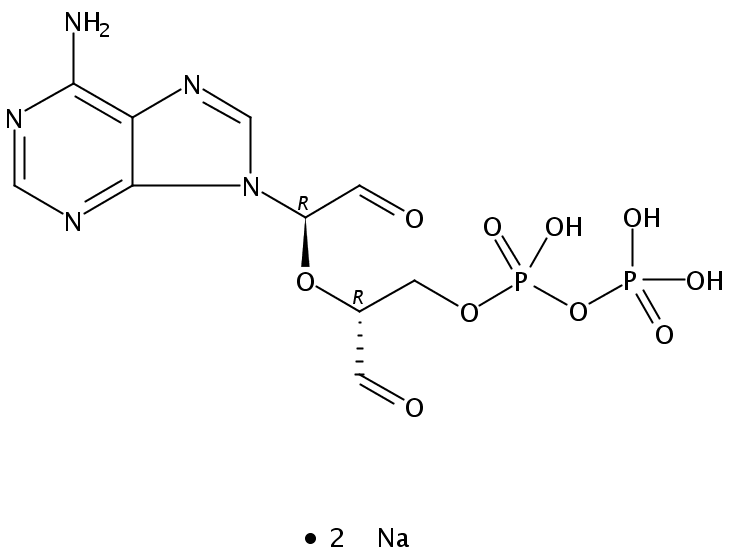 腺苷-5`-二磷酸钠盐,高碘酸氧化过的