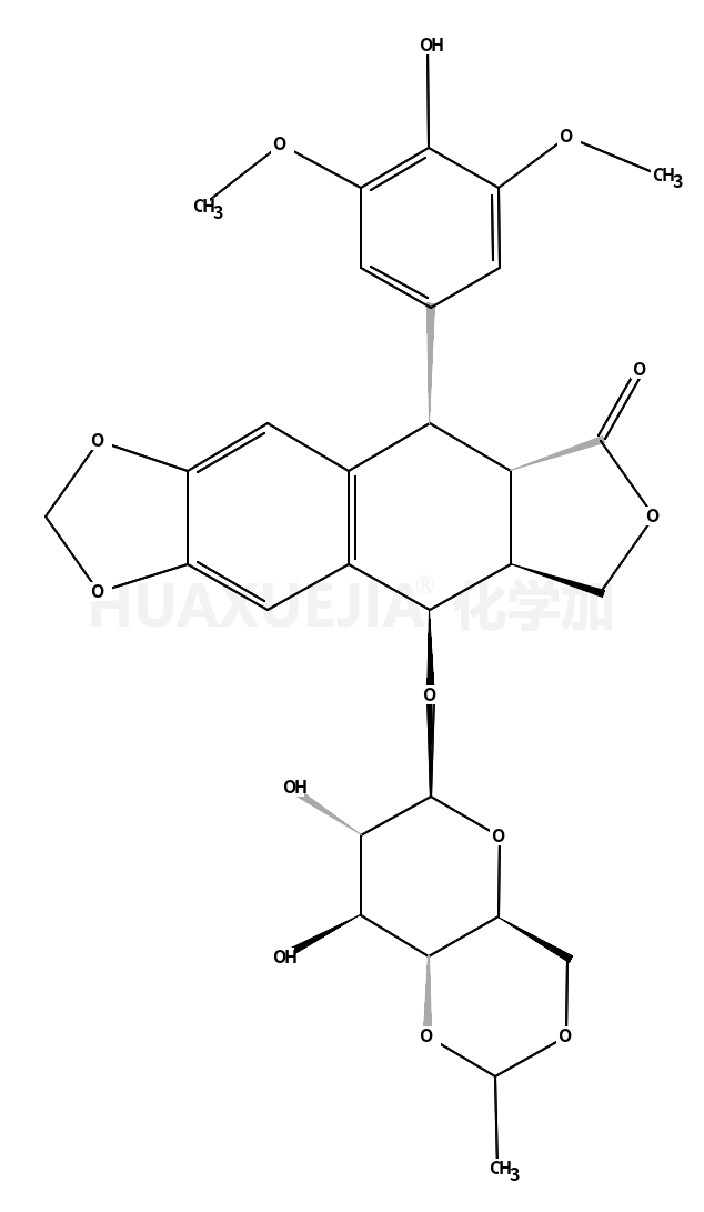 etoposide