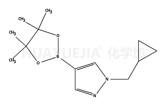 1-(环丙基甲基)-4-(4,4,5,5-四甲基-1,3,2-二噁硼烷-2-基)-1H-吡唑