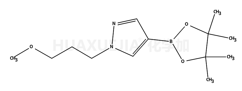 1-(3-甲氧基丙基)-4-(4,4,5,5-四甲基-1,3,2-二氧硼杂环戊烷-2-基)-1H-吡唑