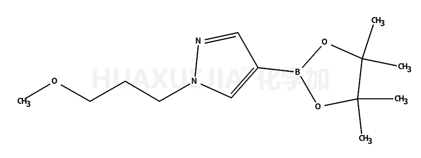 1-(3-甲氧基丙基)-4-(4,4,5,5-四甲基-1,3,2-二噁硼烷-2-基)-1H-吡唑