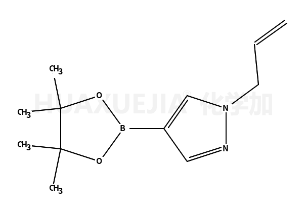 1-(2-丙烯-1-基)-4-(4,4,5,5-四甲基-1,3,2-二噁硼烷-2-基)-1H-吡唑