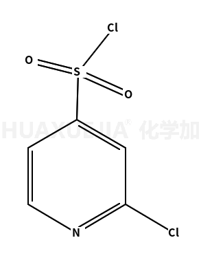 2-氯吡啶-4-磺酰氯