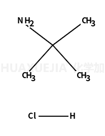 2-氨基-2-甲基丙烷盐酸盐