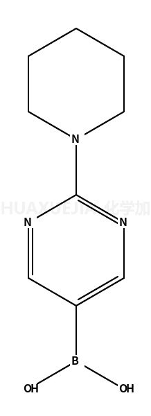 2-哌啶嘧啶-5-硼酸