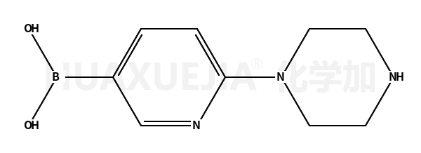 2-哌嗪基-5-吡啶硼酸