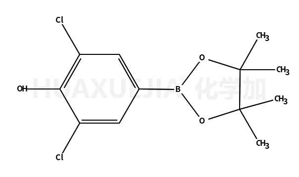 2,6-二氯-4-(4,4,5,5-四甲基-1,3,2-二噁硼烷-2-基)苯酚