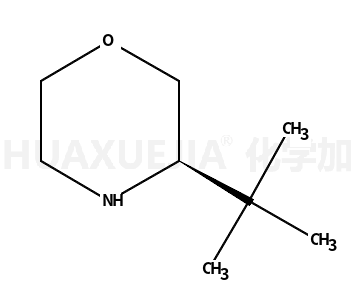 (S)-3-叔丁基吗啉
