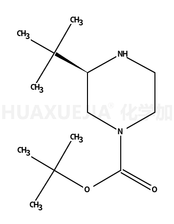(S)-3-叔丁基哌嗪-1-羧酸叔丁酯盐酸盐