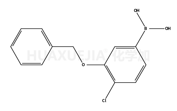 3-苄氧基-4-氯苯硼酸