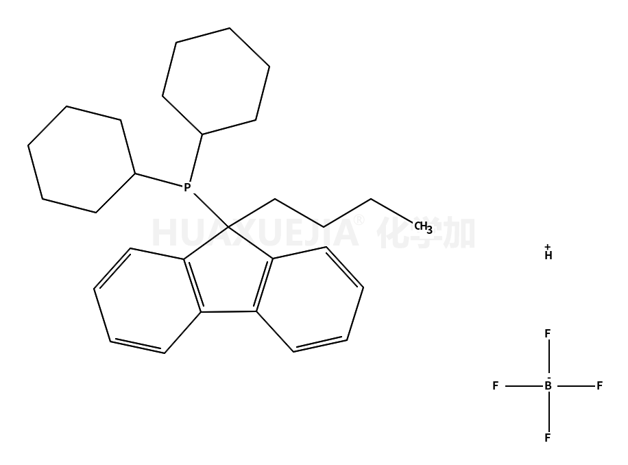 (9-丁基-9-芴基)二环己基磷四氟硼酸酯